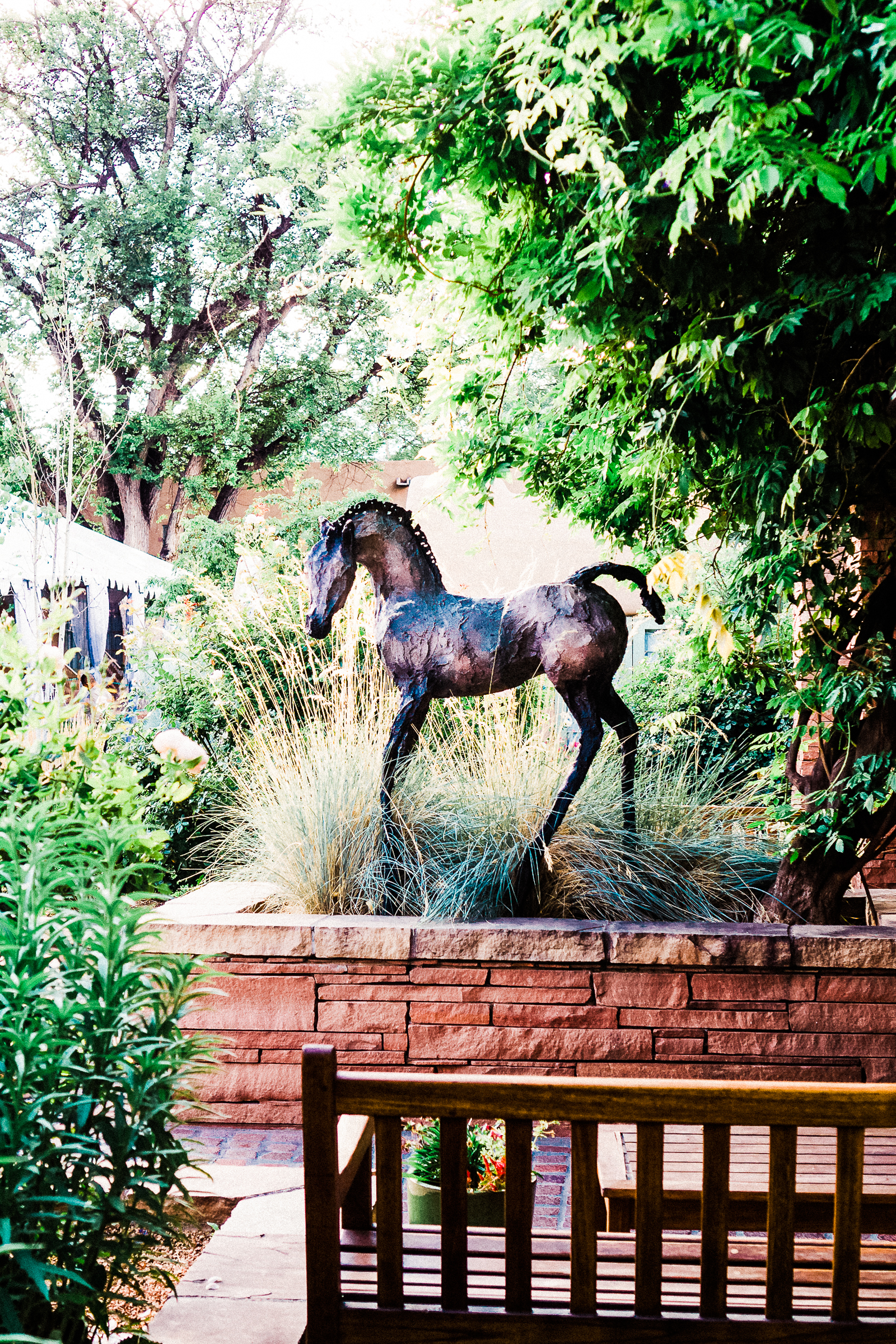 Horse Statue in Santa fe at the La Posada